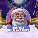 Santa Wild Helpers